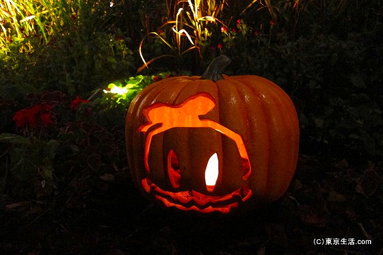 夜からディズニー・ハロウィーン行ってきたの画像