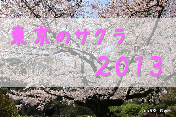 花見実況|東京の桜の名所　２０１３年の画像