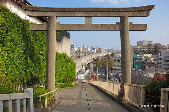 赤羽八幡神社の鳥居の下の新幹線