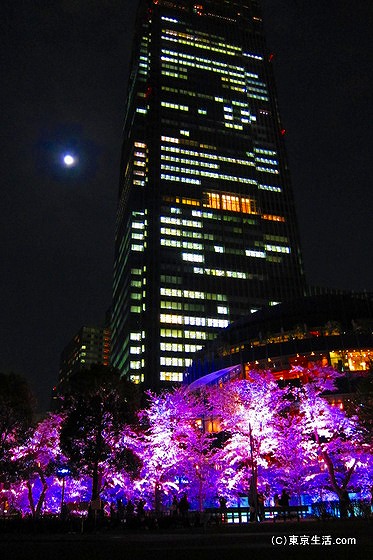 東京ミッドタウンの桜