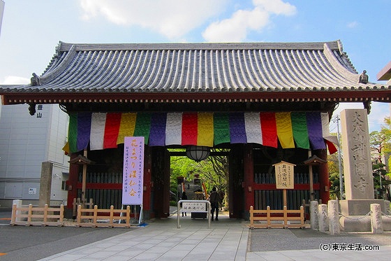 護国寺の仁王門