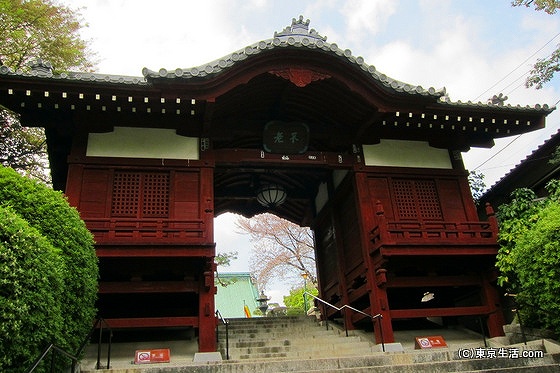 護国寺の不老門