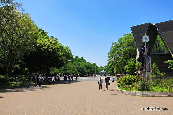 上野公園内のカフェ