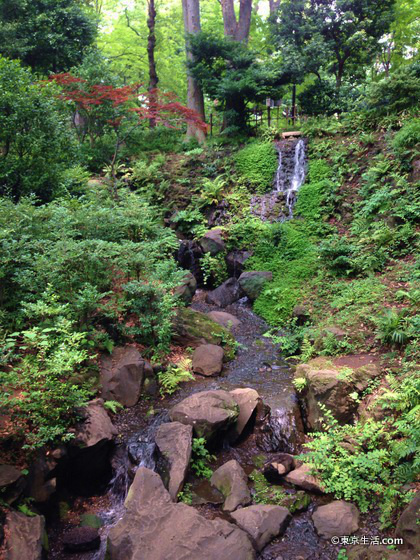 有栖川宮記念公園の渓谷