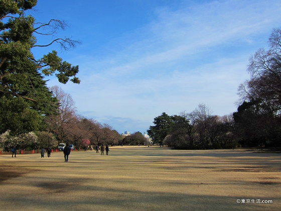 新宿御苑のイギリス庭園