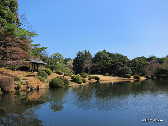 新宿御苑の日本庭園