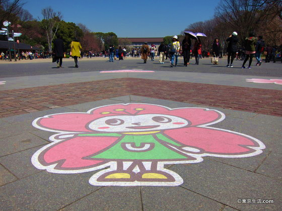 穴場の東京国立は物館の桜