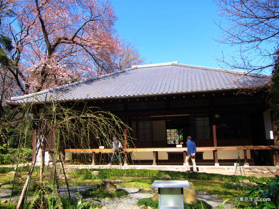 国立博物館の庭園