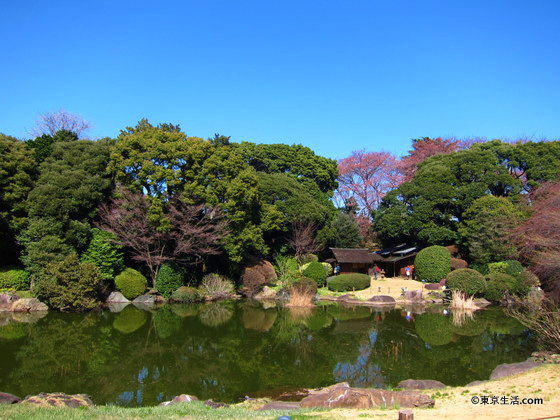 国立博物館の庭園