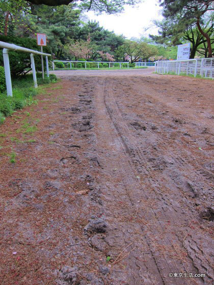 馬の足跡