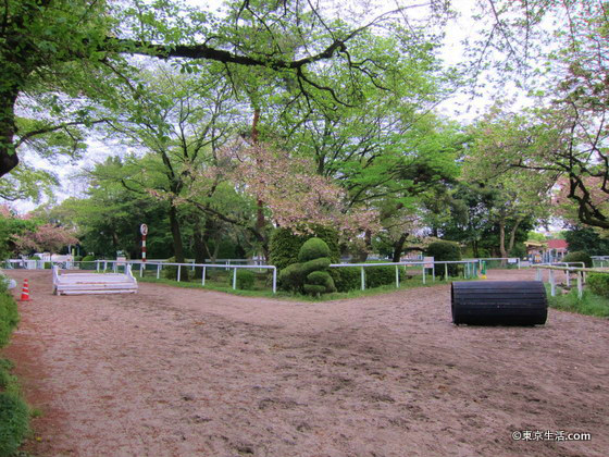 馬事公苑の園内