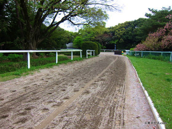 馬事公苑の散歩