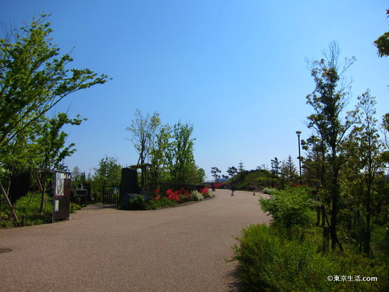 夏の二子玉川公園