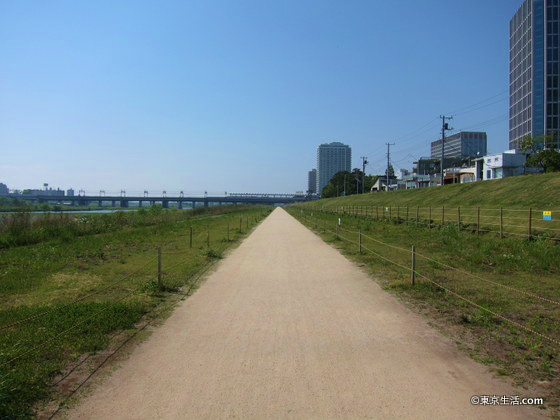 多摩川の遊歩道