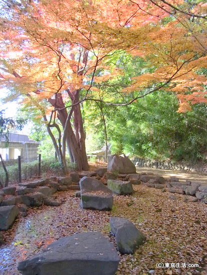 哲学堂の秋の風景