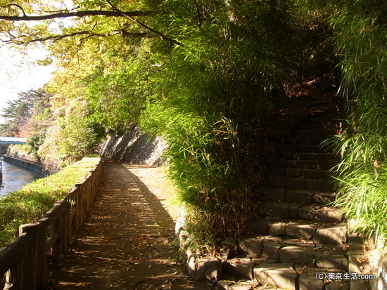 上へと登ってく