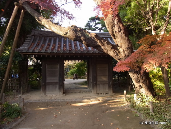 新井薬師の散歩|北側は紅葉の哲学堂でしたの画像