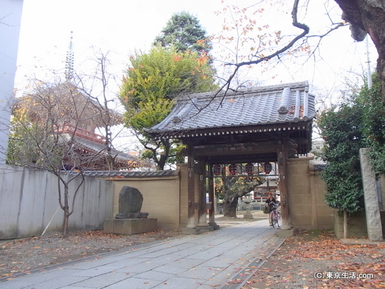 新井薬師に住む|新井薬師の画像