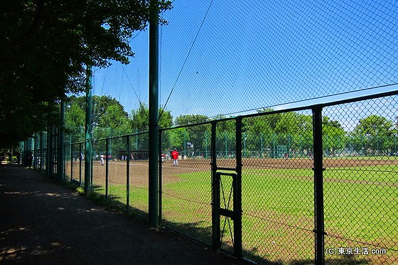 羽根木公園の野球場