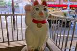 世田谷線と招き猫のたまにゃん|豪徳寺の商店街