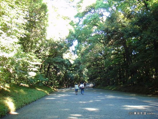 明治神宮の参道