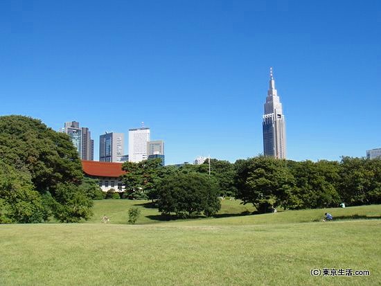 明治神宮と新宿高層ビル街