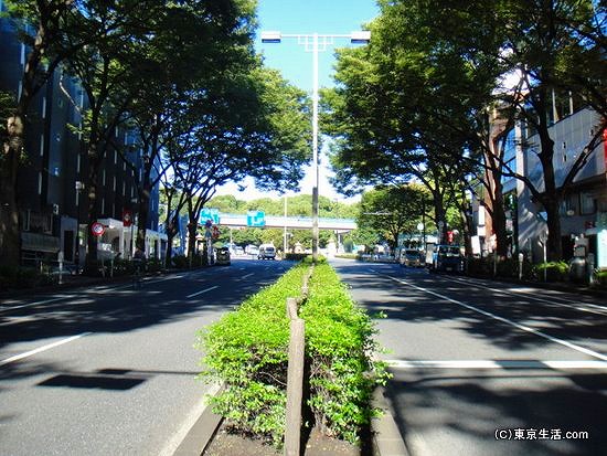 明治神宮までの表参道