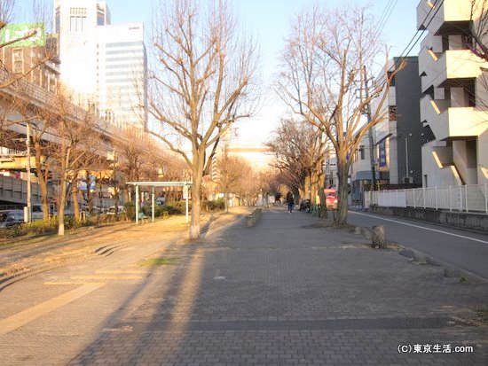 甲州街道沿いの公園