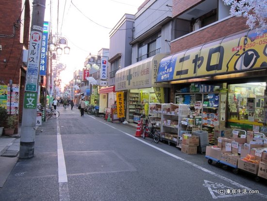 地元のお店が中心