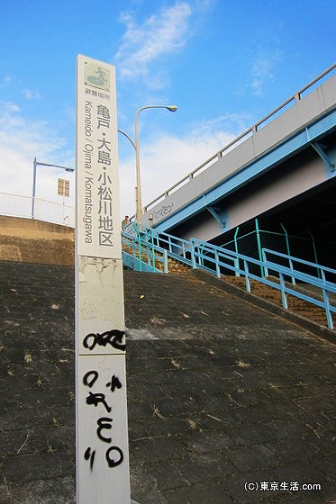 荒川の堤防へと登る