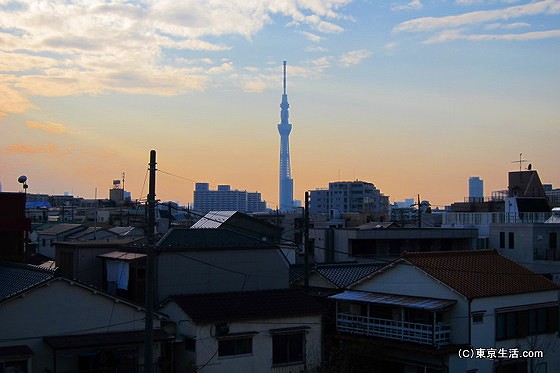 平井から眺める東京スカイツリー