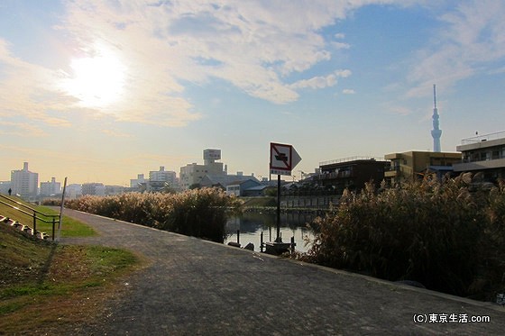 旧中川の風景