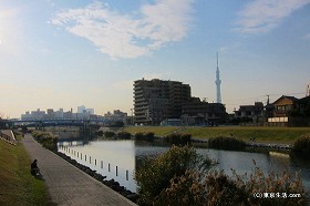 旧中川と荒川の間の江戸川区の街|平井の散歩