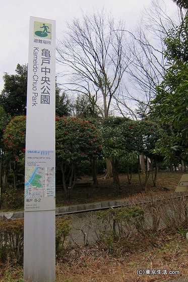 亀戸中央公園