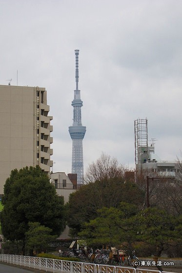 亀戸からの東京スカイツリー