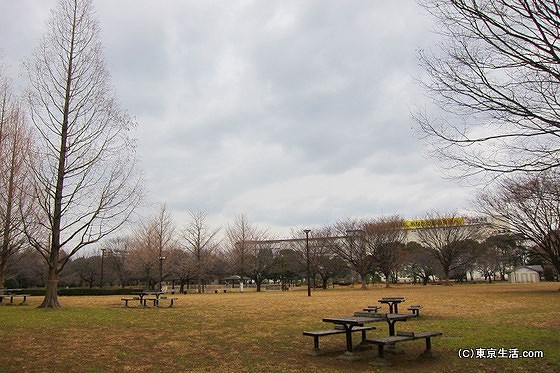 亀戸中央公園の芝生広場