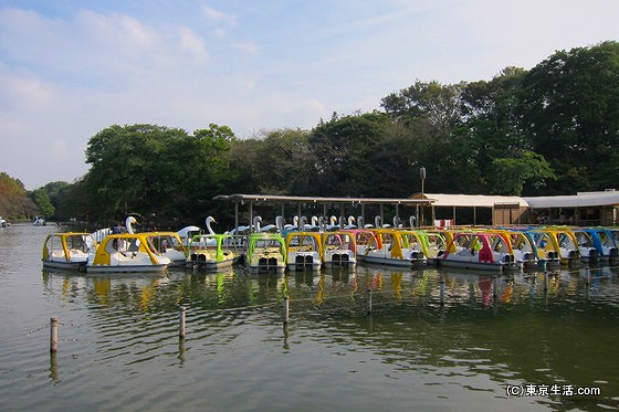 井の頭公園のボート