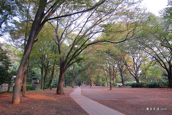 井の頭公園が続く