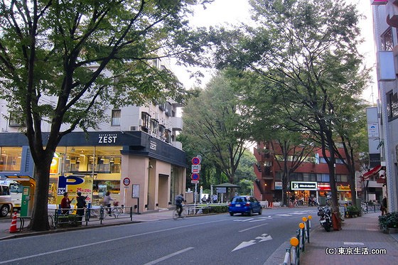 吉祥寺の商店街|井の頭公園への誘いの画像