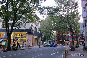 井の頭公園への誘い|吉祥寺の商店街