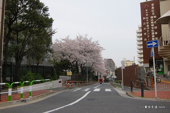 駒込の住宅街