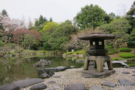 旧古河庭園の日本庭園