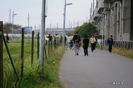 IKEAや船橋オートに向かう人々