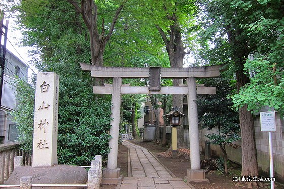 荻窪の白山神社