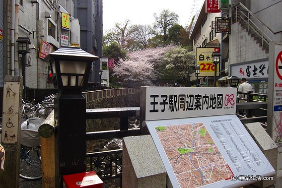 王子駅から音無親水公園へのアクセス