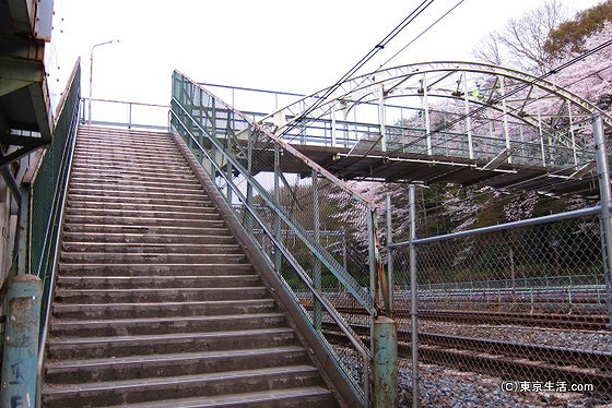 王子駅から飛鳥山公園へ