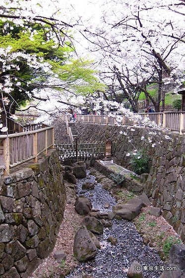 音無親水公園