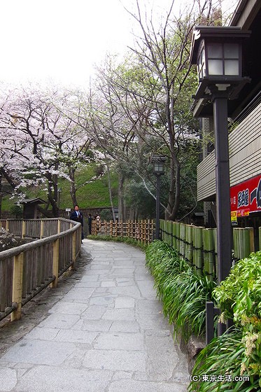 音無親水公園の遊歩道