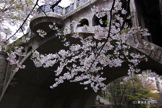 音無親水公園|王子にある桜＆紅葉の穴場名所の公園の画像