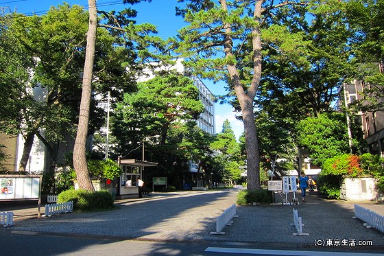 成城学園